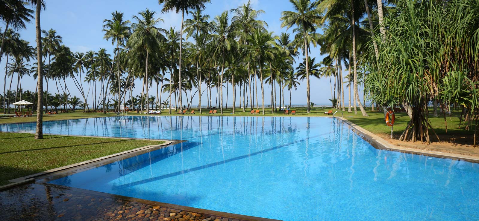Hotels in Sri Lanka - The Blue Water